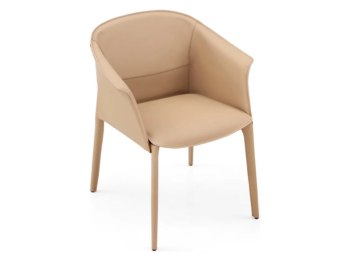 Dining Chairs ICY-Y123