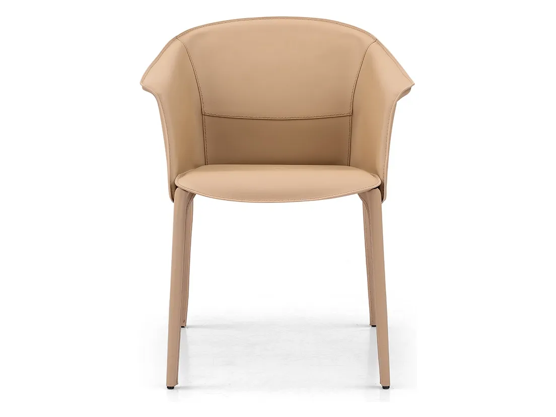 Dining Chairs ICY-Y123