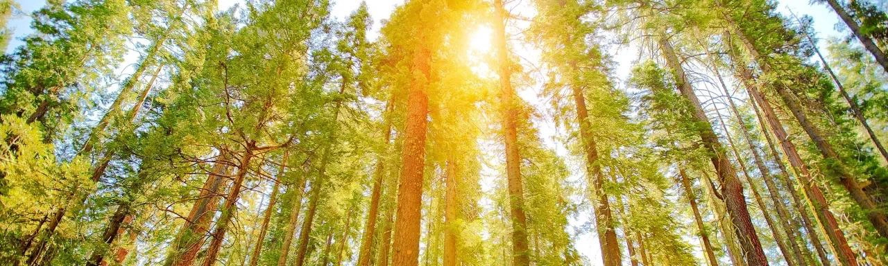 sustainability